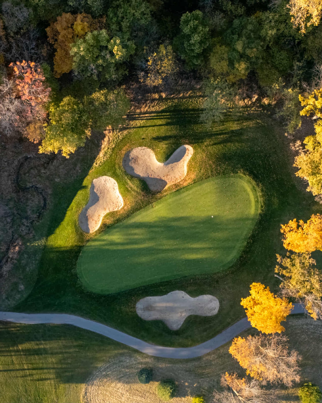Autumn canopy framing a green complex, seen from directly above